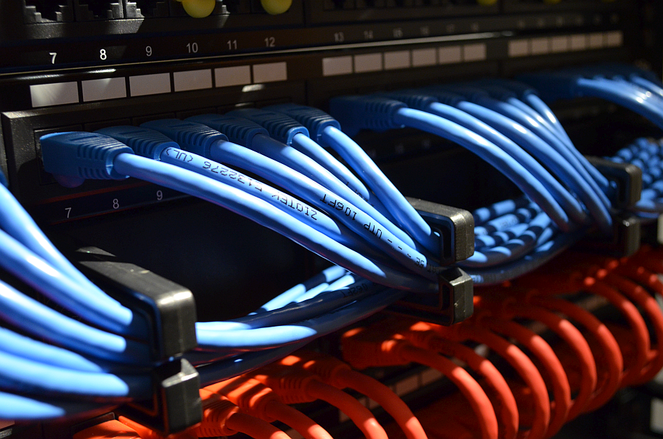 Photo of network cables plugged into a patch panel.